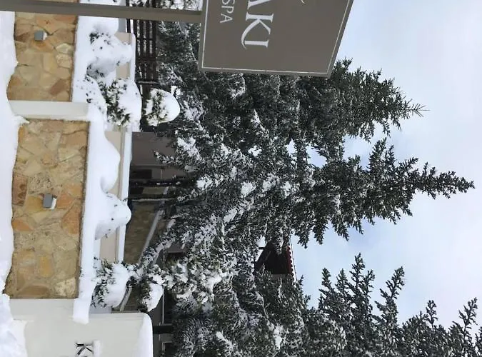 Hotel Konaki 3*